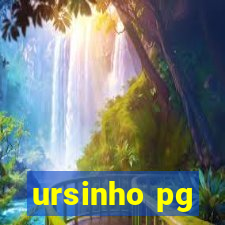 ursinho pg